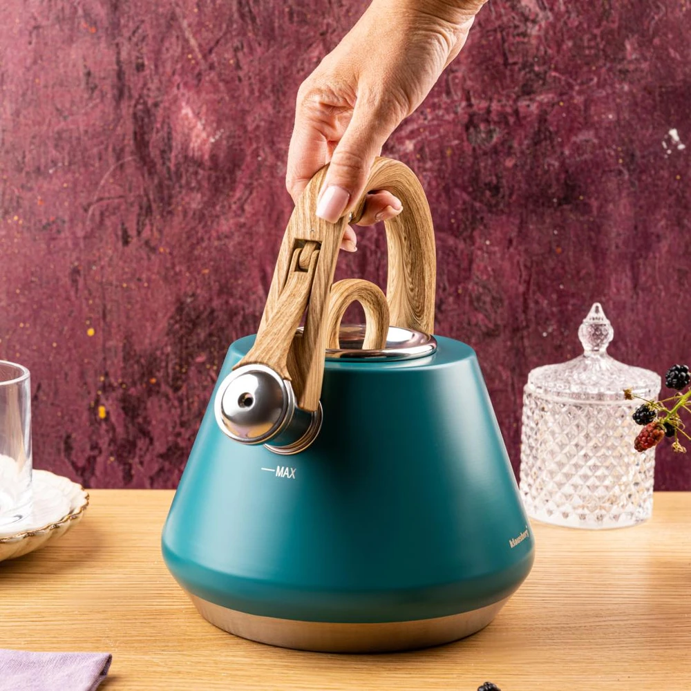 Virdulys plieno su gwizdkiem 2,5 l pistacja, indukcija, klausberg kb-9063