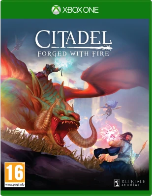 Virtual Basement Citadel: Forged with Fire