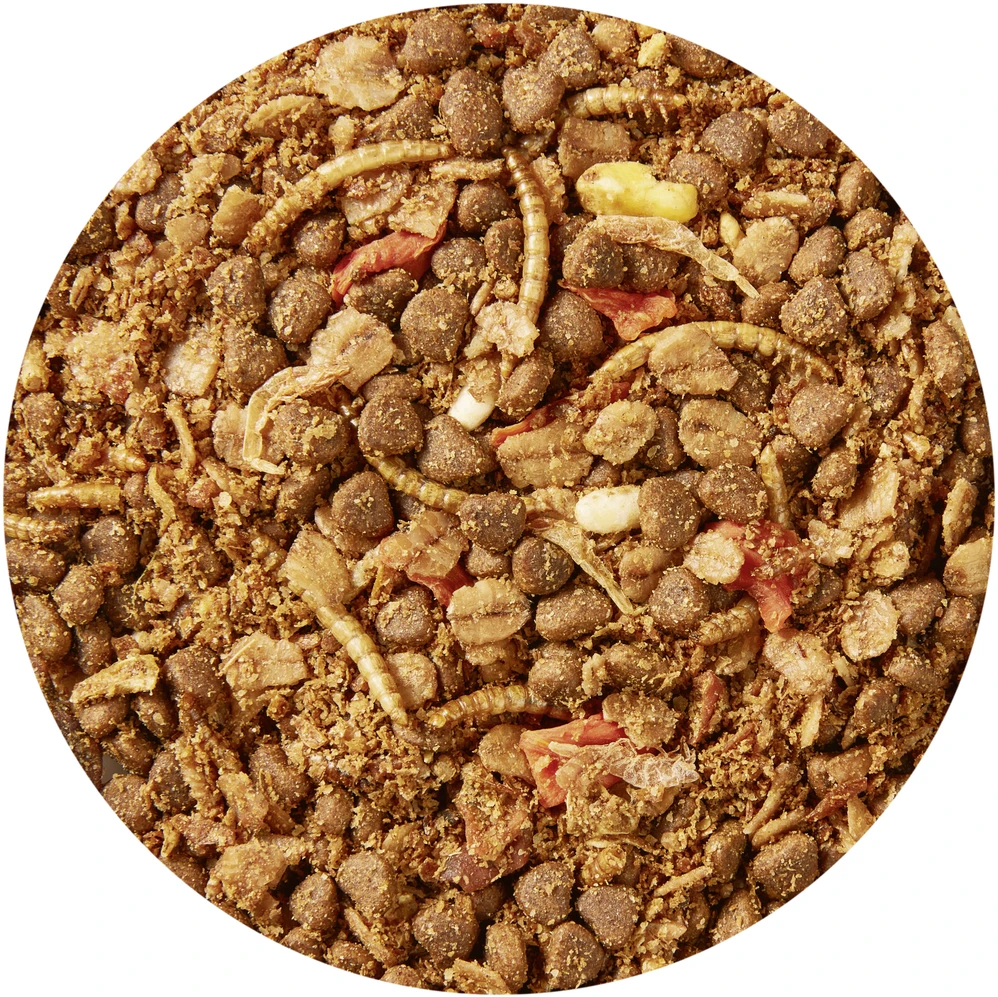 Vitakraft Chovex Sro VITAKRAFT Hedgehog Premium Menu Food Pašaras ežiams 600 g