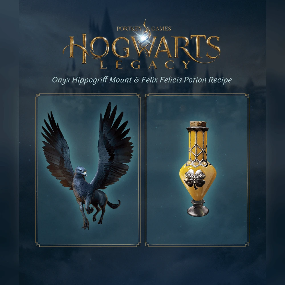 WARNER BROS Hogwarts Legacy PS4