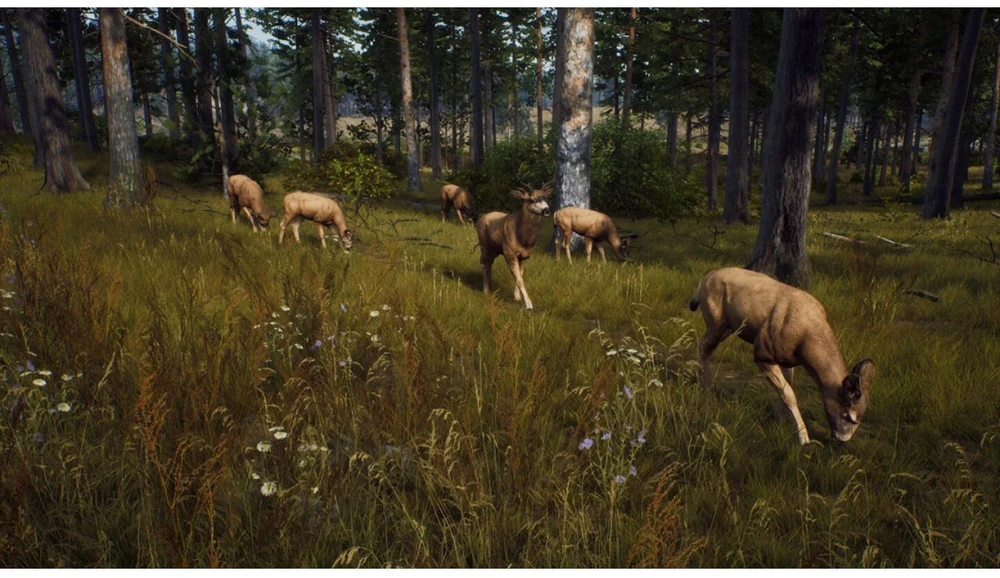 Thq Nordic Way of the Hunter