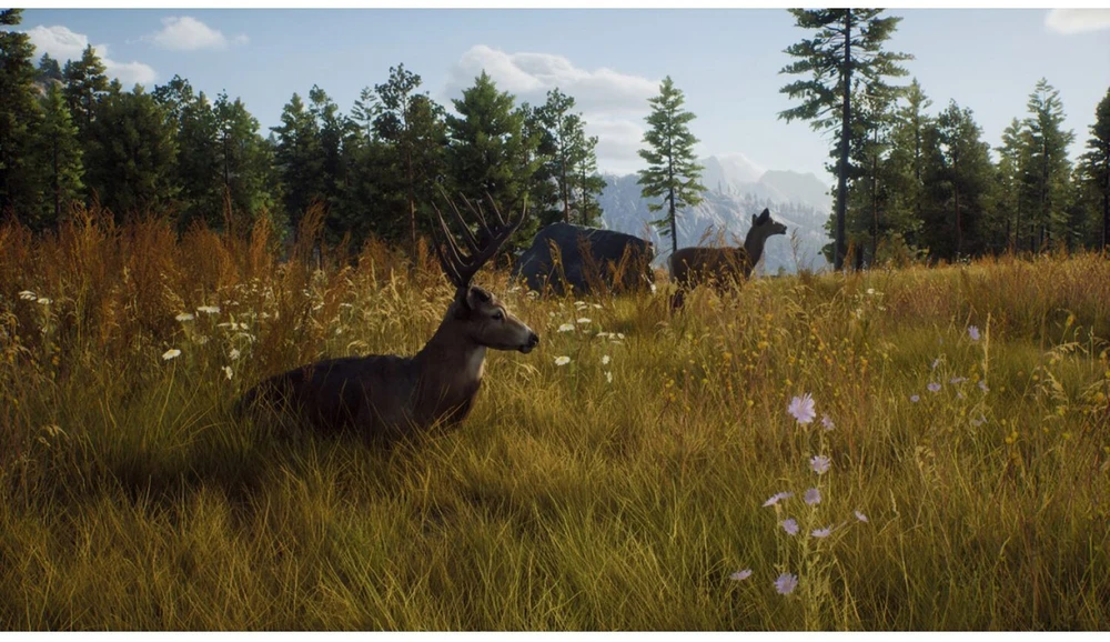 Thq Nordic Way of the Hunter PS5