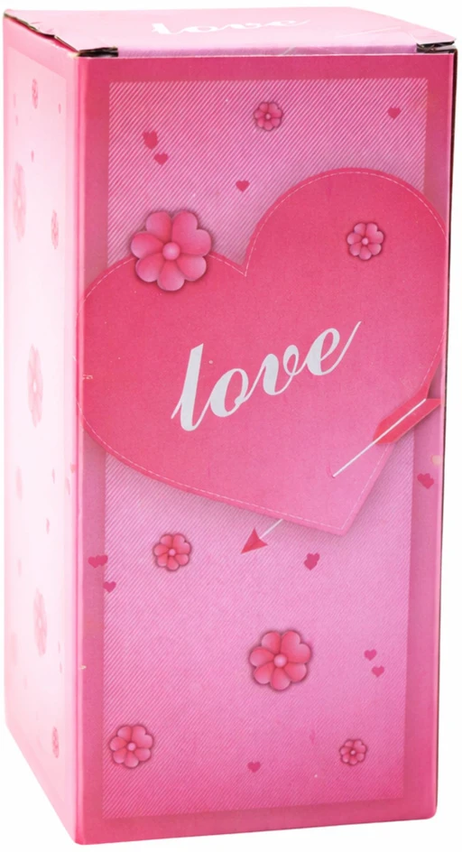 Lean Amžinoji rožė LED apšvietimo kupole su širdimi ir „Love“ užrašu