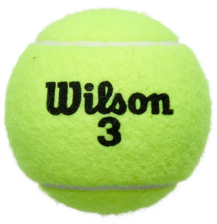 WILSON ROLAND GARROS (4) teniso kamuoliukai