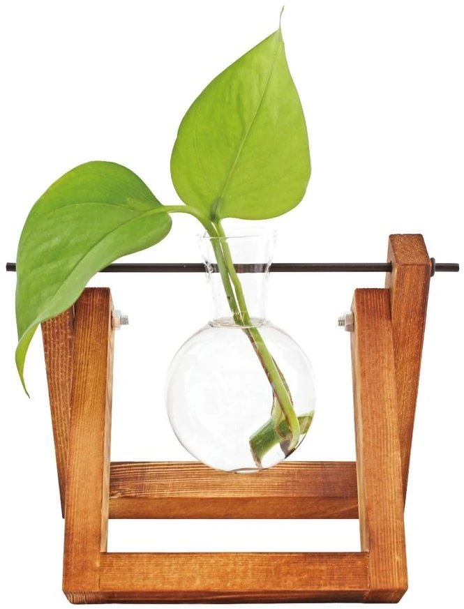 Winkee - Hydro Vases gėlių vaza