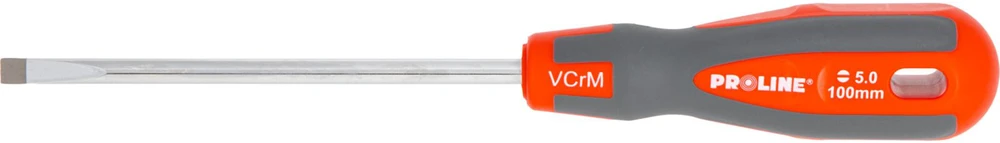 Atsuktuvas plokščias 100x5.0 mm Proline