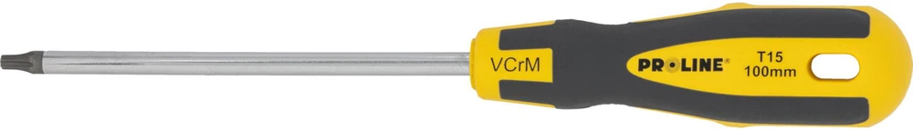 Wkrętak Torx atsuktuvas su skylute t15*100mm, profesionalus, minkštas, proline