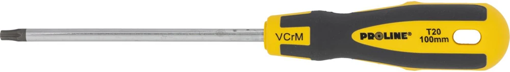 Wkrętak Torx atsuktuvas su skylute t20*100mm, profesionalus, minkštas, proline