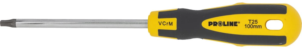 Wkrętak Torx atsuktuvas su skylute t25 * 100 mm, profesionalus, minkštas, proline
