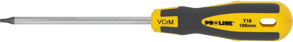 Wkrętak Torx atsuktuvas su skylute t27*100mm prof.'st' proline komplekte