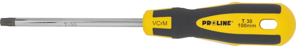 Wkrętak Torx atsuktuvas su skylute t30*100mm, profesionalus, minkštas, proline