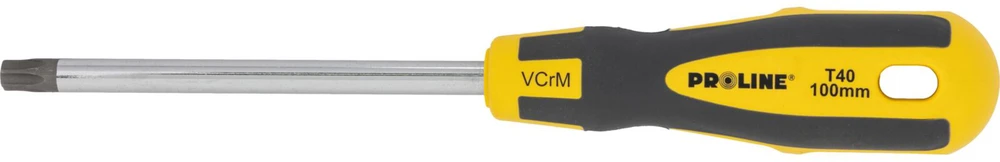 Wkrętak Torx atsuktuvas su skylute t40*100mm, profesionalus, minkštas, proline