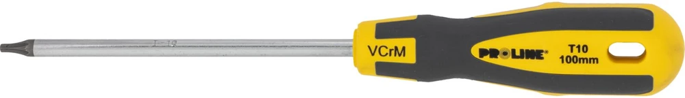 Wkrętak Torx atsuktuvas su skylute t10*100mm prof.'st' proline komplekte