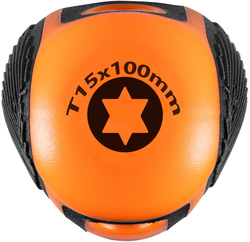 Wkrętak Torx T15 x 100 mm atsuktuvas