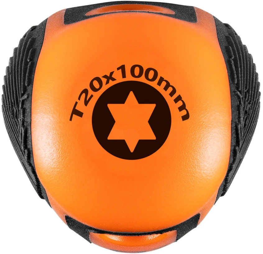 Wkrętak Torx T20 x 100 mm atsuktuvas