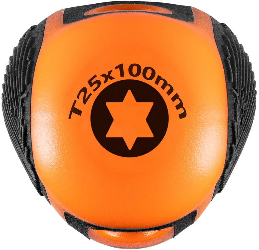 Wkrętak Torx T25 x 100 mm atsuktuvas