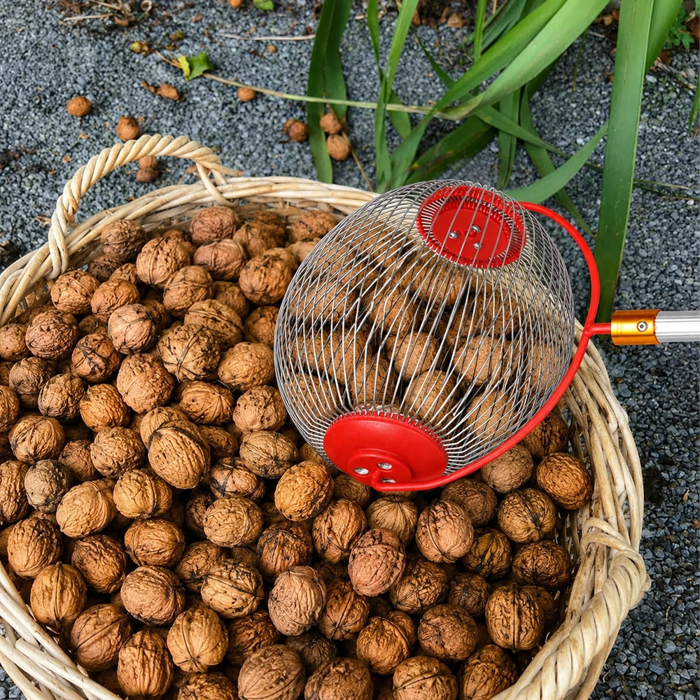 Zbieracz Teleskopinis riešutų, kamuoliukų, obuolių, vaisių rinktuvas, kotas 48–105 cm