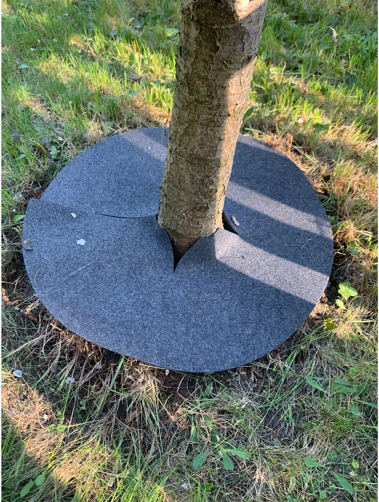 Zestaw Rinkinys Bertoni piktžolių diskų rinkinys, 3 vnt. - 40 cm, pilkas