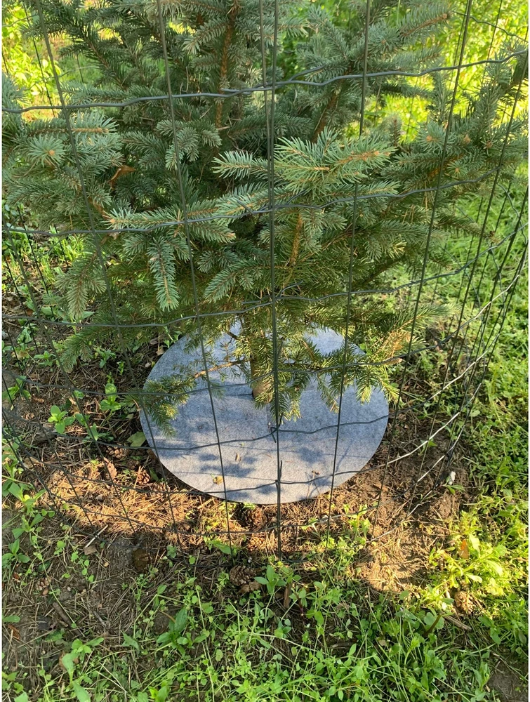 Zestaw Rinkinys Bertoni piktžolių kontrolės diskų rinkinys, 6 vnt. - 40 cm, pilkas