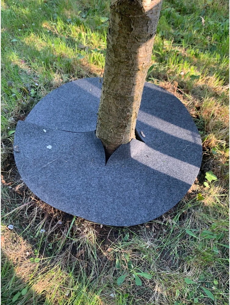 Zestaw Rinkinys Bertoni piktžolių kontrolės diskų rinkinys, 6 vnt. - 40 cm, pilkas