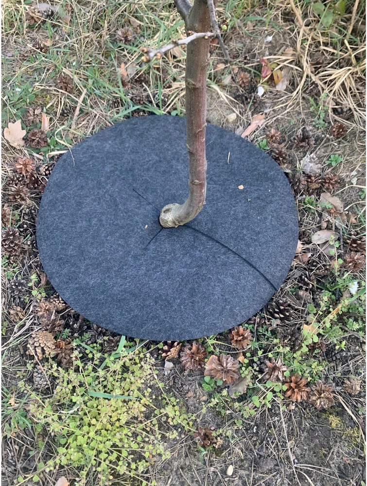 Zestaw Rinkinys Bertoni piktžolių kontrolės diskų rinkinys, 3 vnt. - 60 cm, pilkas