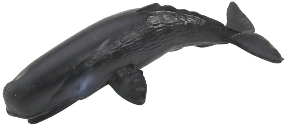 Lean Toys Realistiškų jūrų žinduolių figūrėlių rinkinys, 6 vnt.