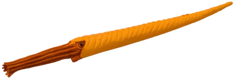 Lean Toys Realistiškos jūros būtybių figūrėlės 6 vnt.