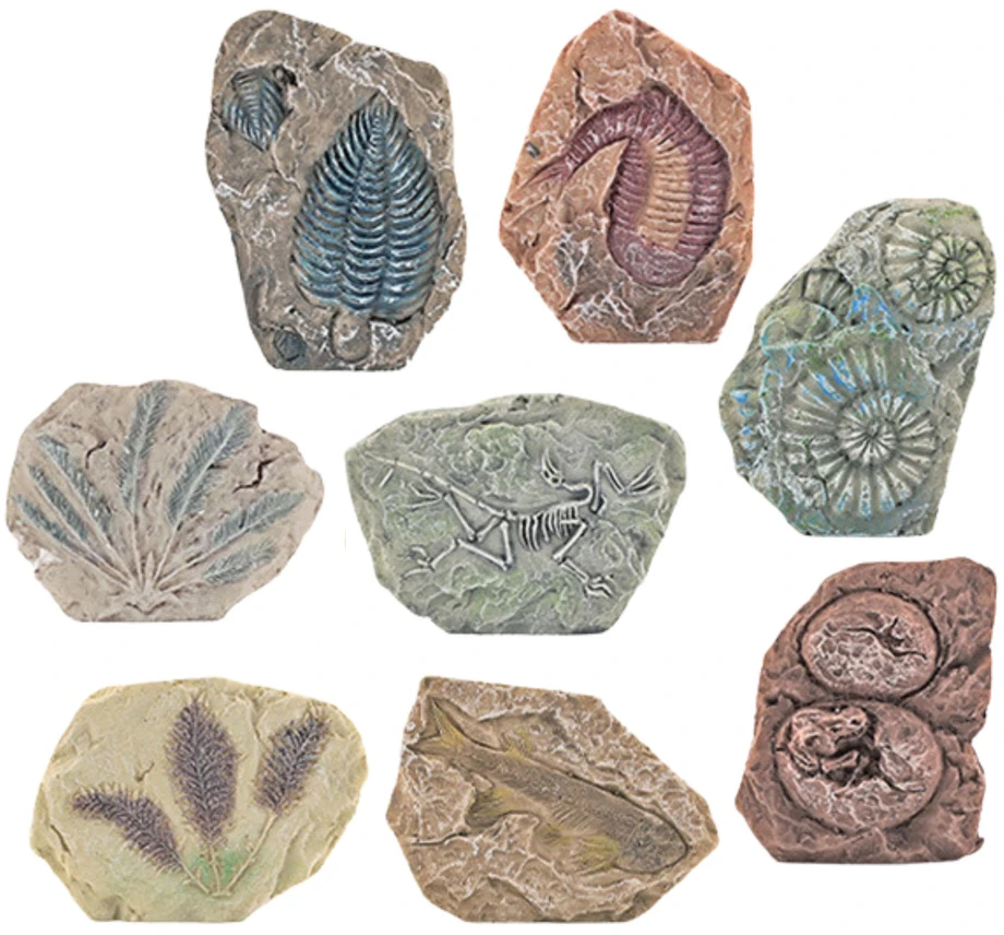 Lean Toys Paleontologijos kasinėjimo rinkinys su tinko bloku ir įrankiais