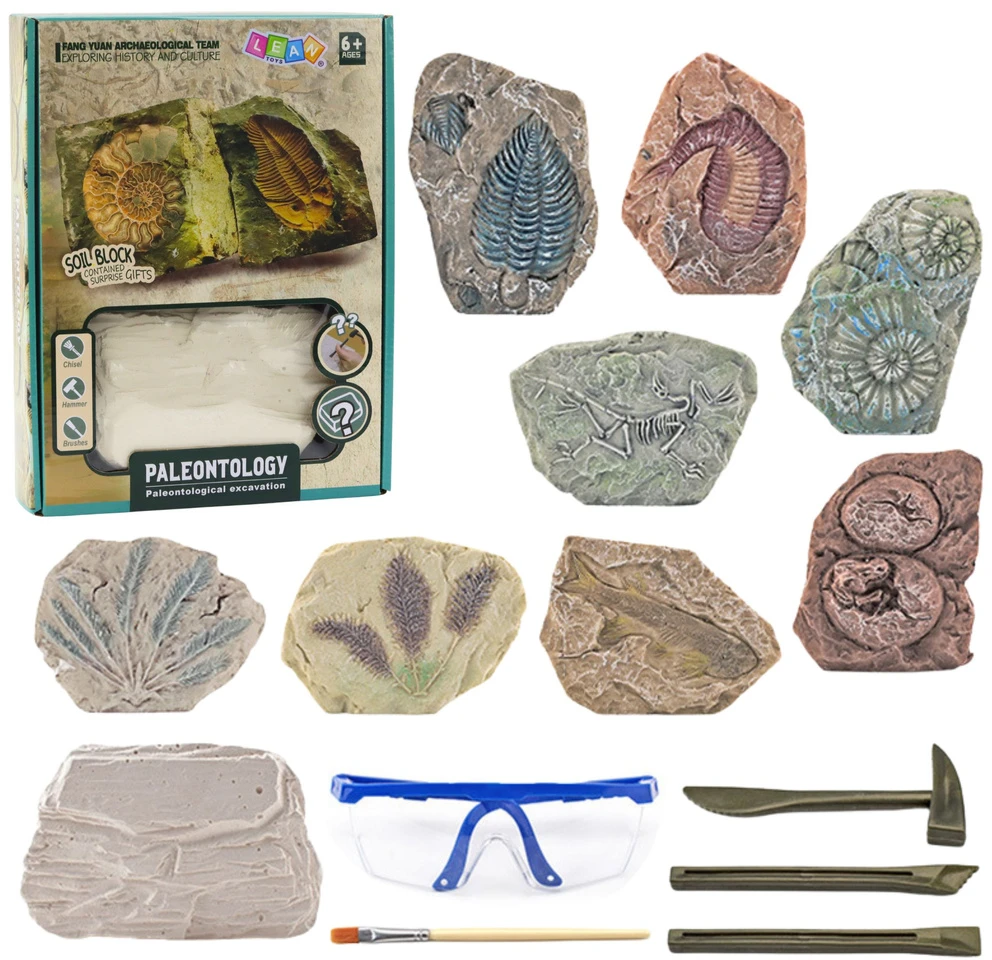 Lean Toys Paleontologijos kasinėjimo rinkinys su tinko bloku ir įrankiais