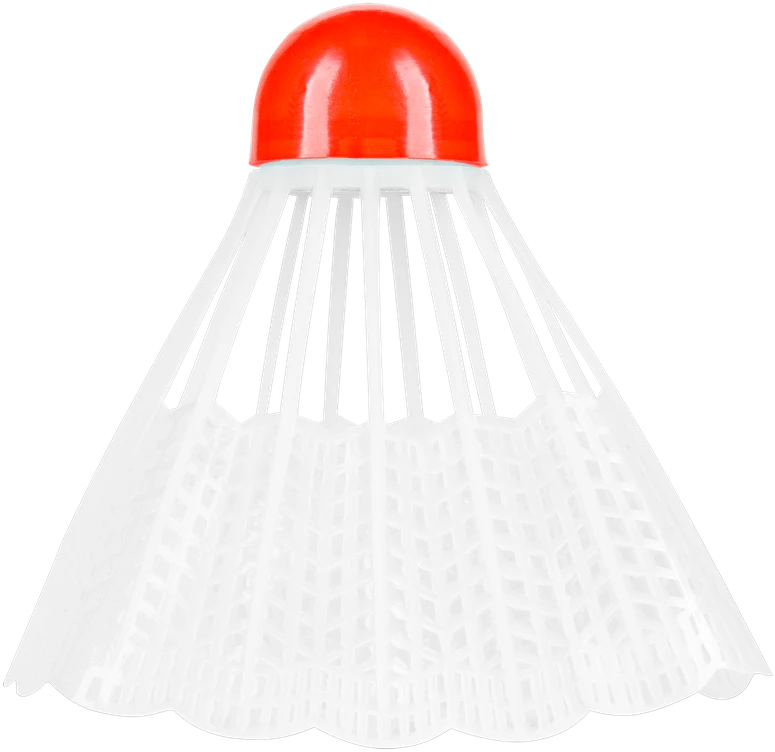 REBEL ACTIVE badmintono rinkinys