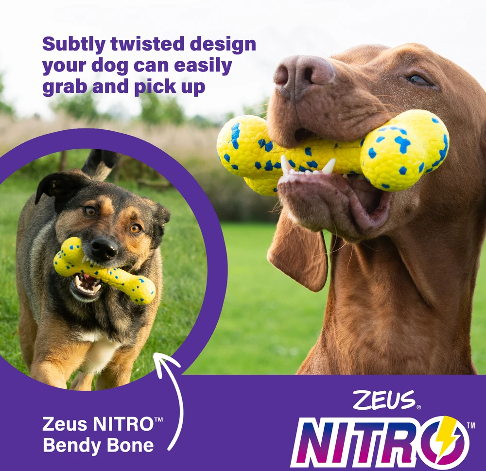 Zeus Nitro - Lankstus kaulas - Geltonas ir mėlynas - 16 cm