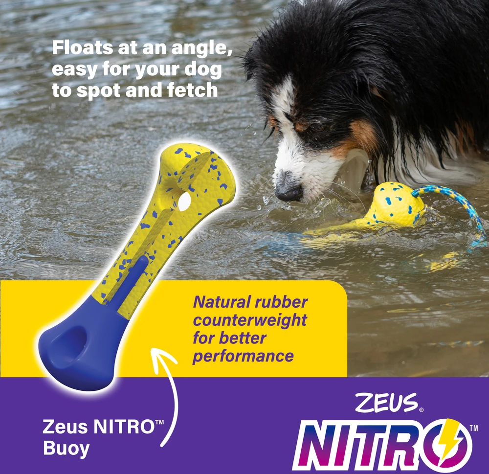 Zeus Nitro - Pasvertas Lazdas - Geltona ir Mėlyna - 26cm