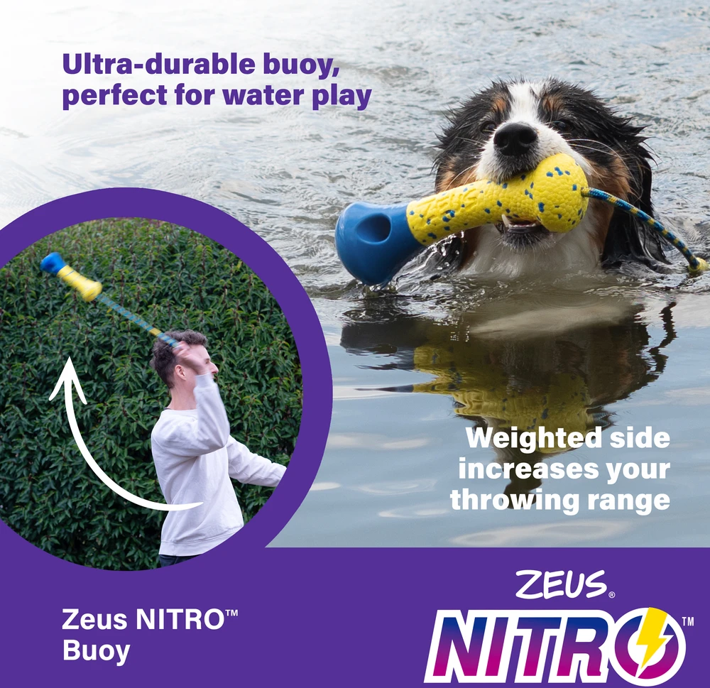 Zeus Nitro - Pasvertas Lazdas - Geltona ir Mėlyna - 26cm