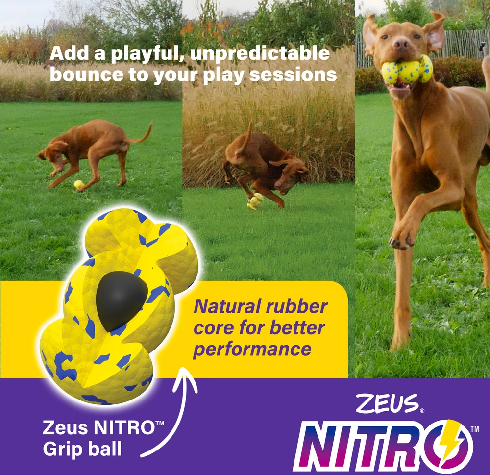 Zeus Nitro - pasvertas regbio kamuolys - geltonas ir mėlynas - 12,4 cm