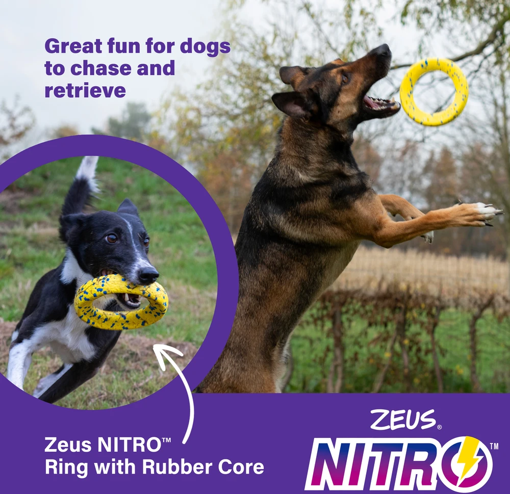 Zeus Nitro - Svertinis Žiedas - Geltonas ir Mėlynas - Ø16cm