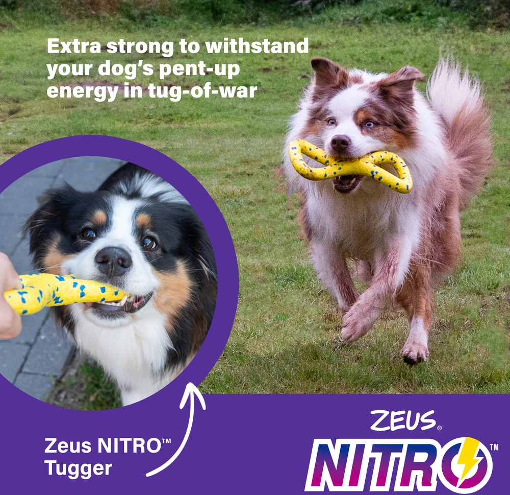 Zeus Nitro - Vilkikas - Geltonas ir Mėlynas - 22 cm