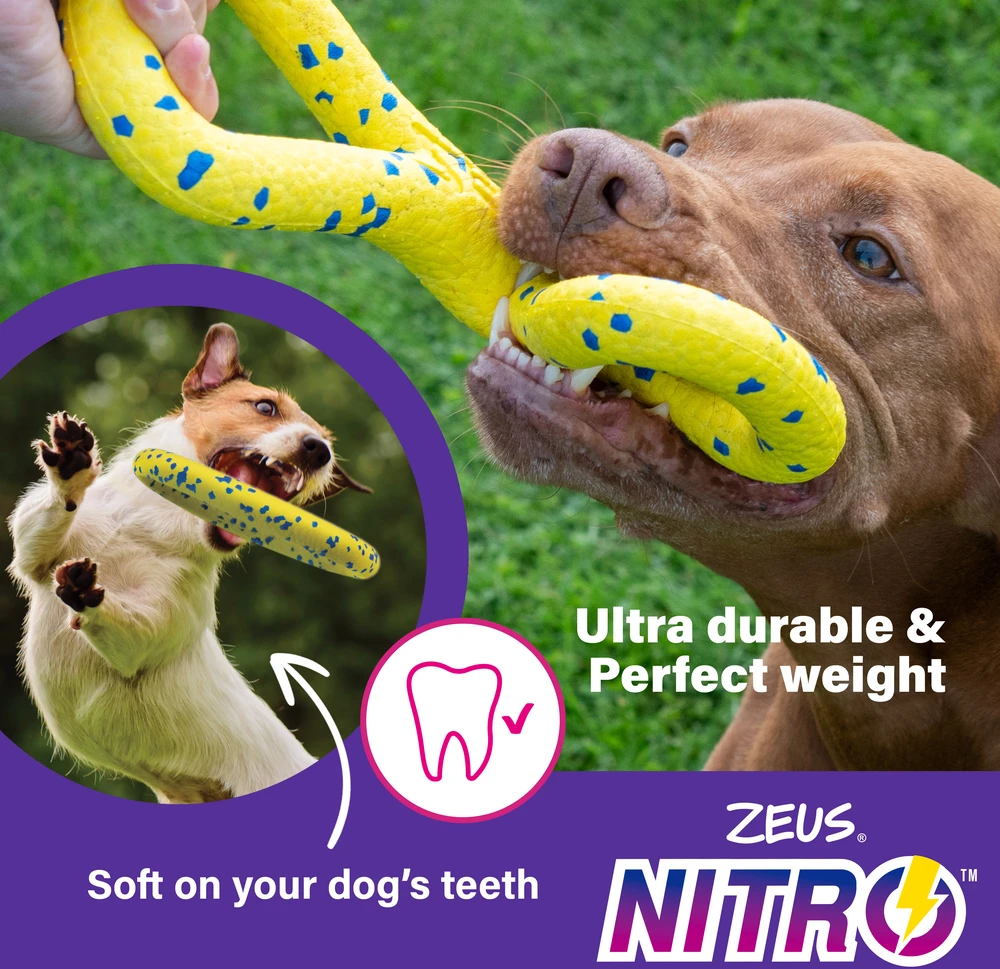Zeus Nitro - Zeus Nitro žiedas - Geltonas ir mėlynas - Ø16cm