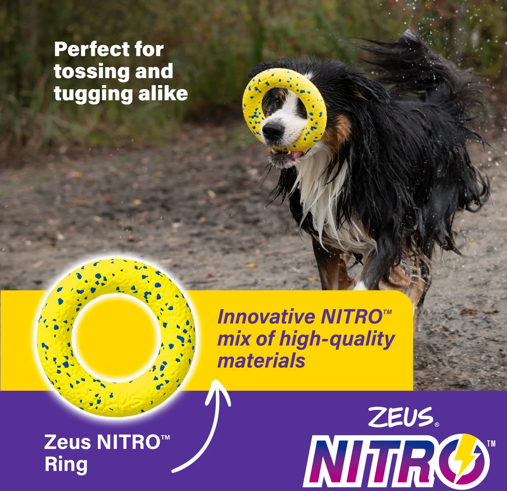 Zeus Nitro - Zeus Nitro žiedas - Geltonas ir mėlynas - Ø16cm