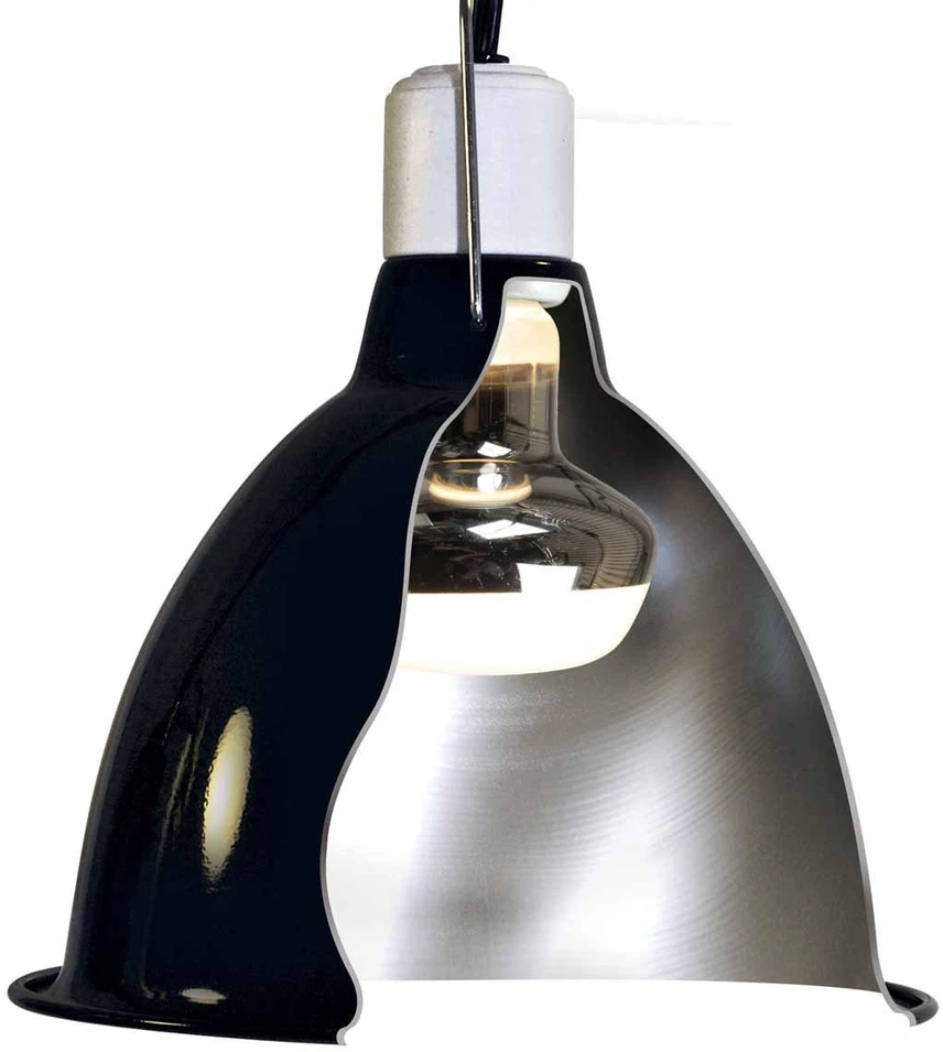 Zoo Med Terariumo lempa ropliams REPTY SPOT 100 W