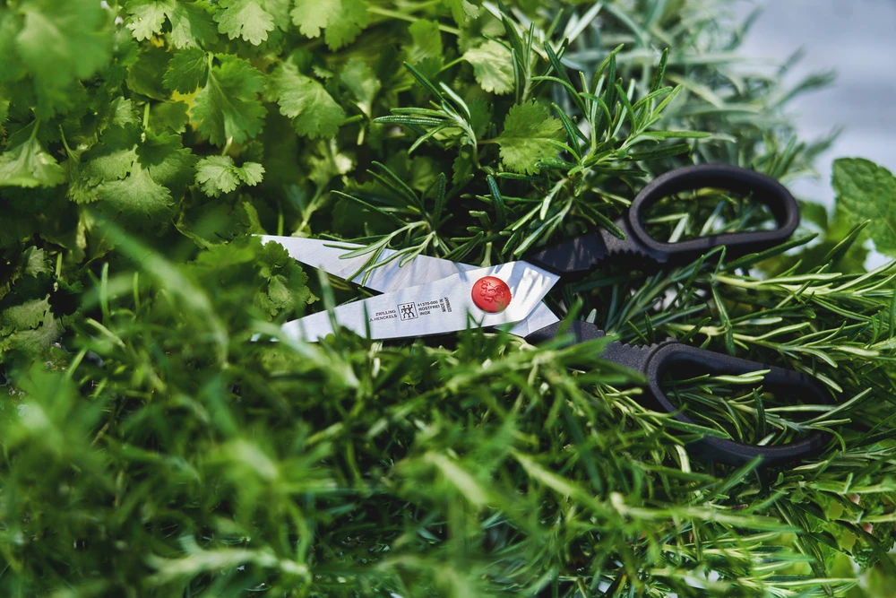 Zwilling - TWIN L daugiafunkcinės žirklės - nerūdijančio plieno - 20 cm