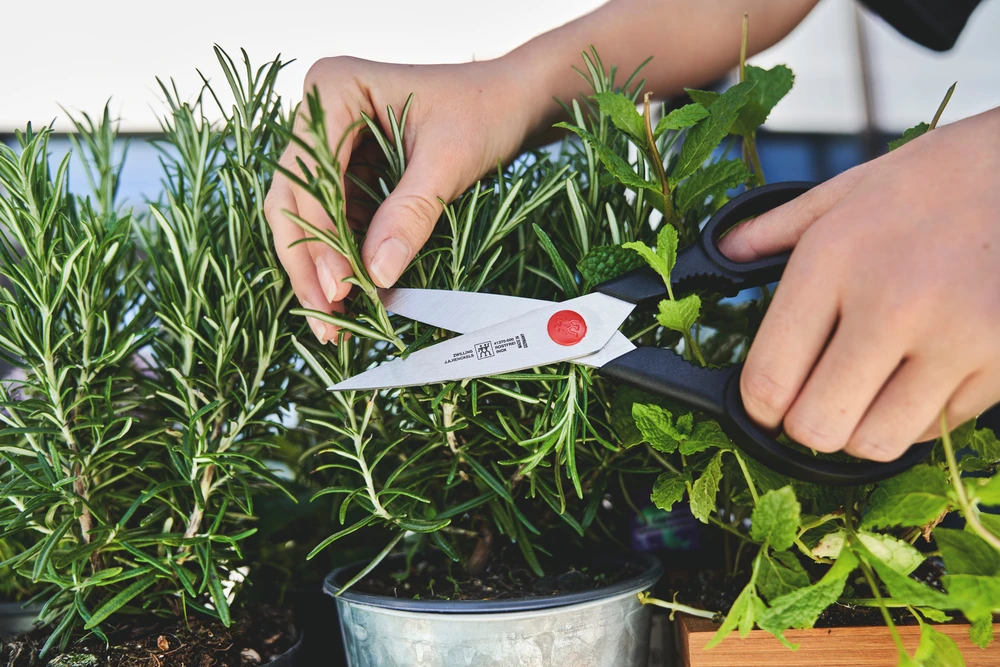 Zwilling - TWIN L daugiafunkcinės žirklės - nerūdijančio plieno - 20 cm