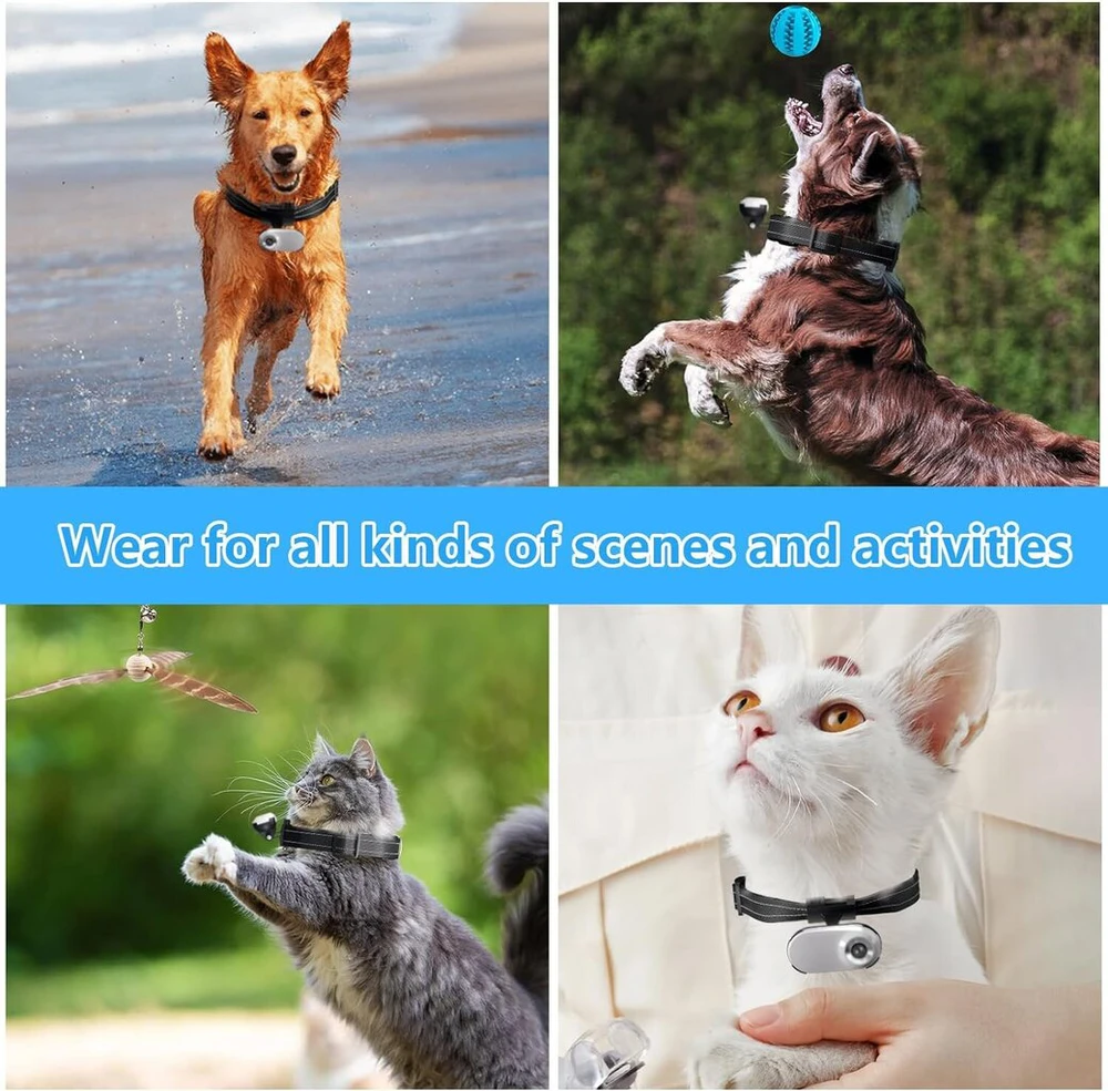 Fotoaparatas su augintiniams antkakliu