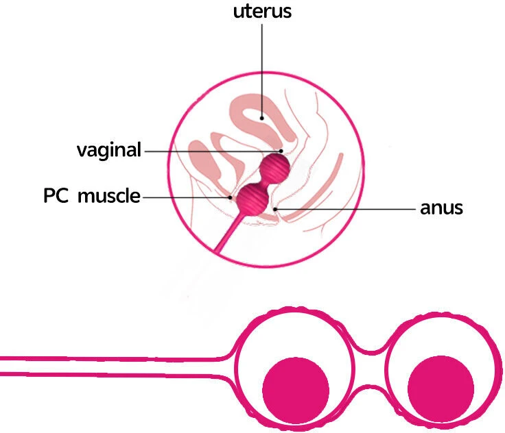 Pink Kegel rinkinys Rožinė Pleasure, 3 vnt