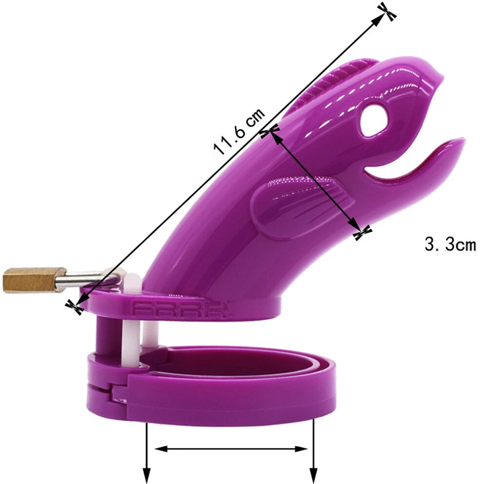 Skaistybės diržas, violetinis