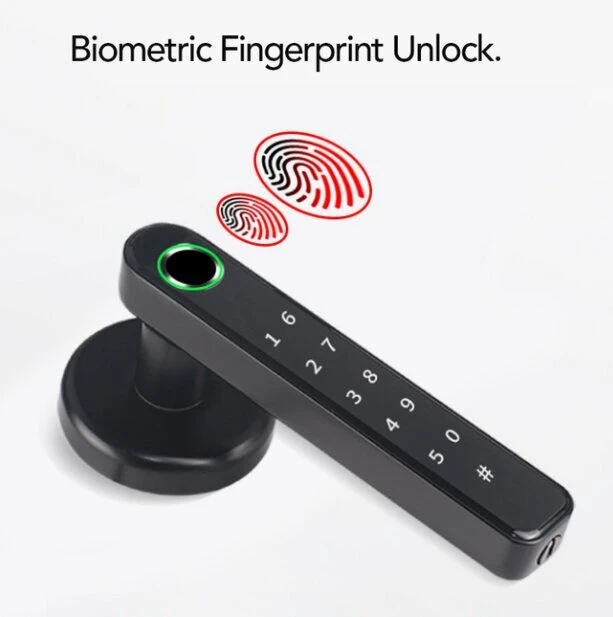 Smart biometrinis durų užraktas su rankena