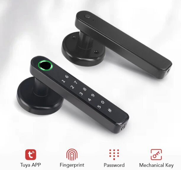 Smart biometrinis durų užraktas su rankena