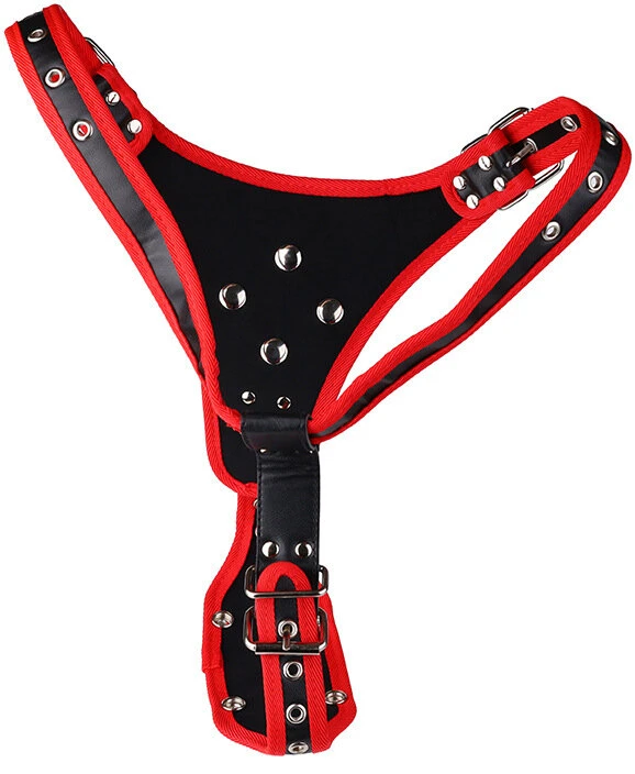 Strap on 3 dildos