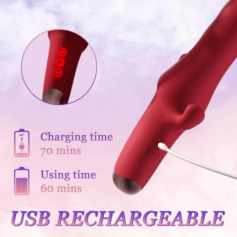 Vibratorius Rabbit 3in1