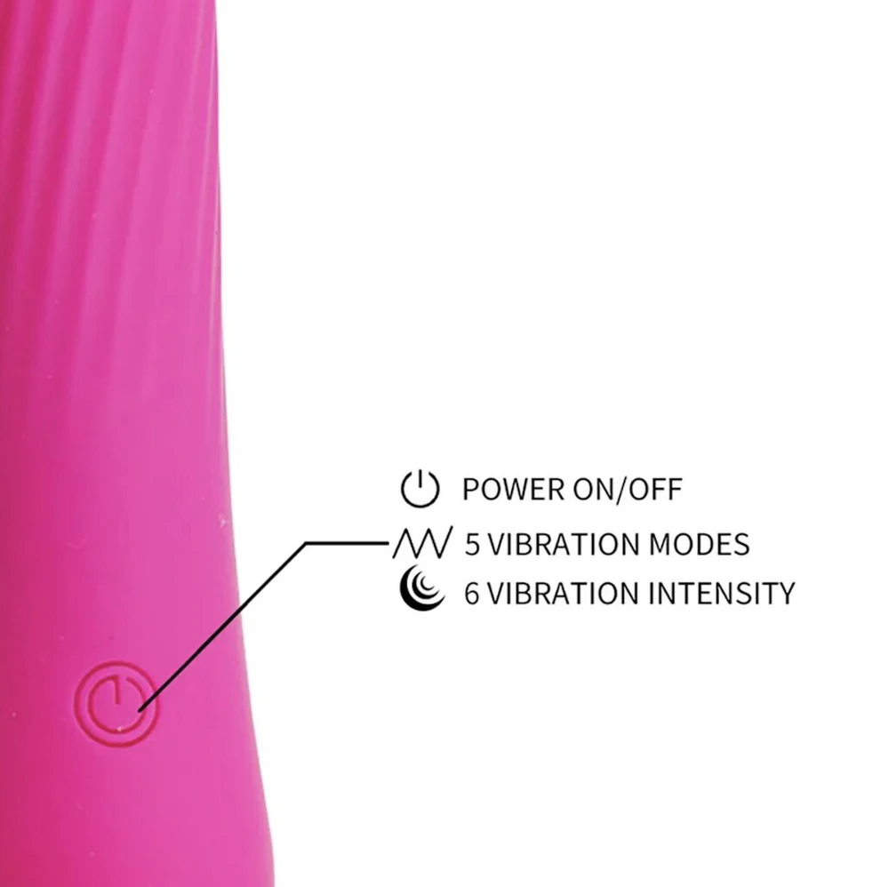 Vizualinė vibruojanti kamera, 720p