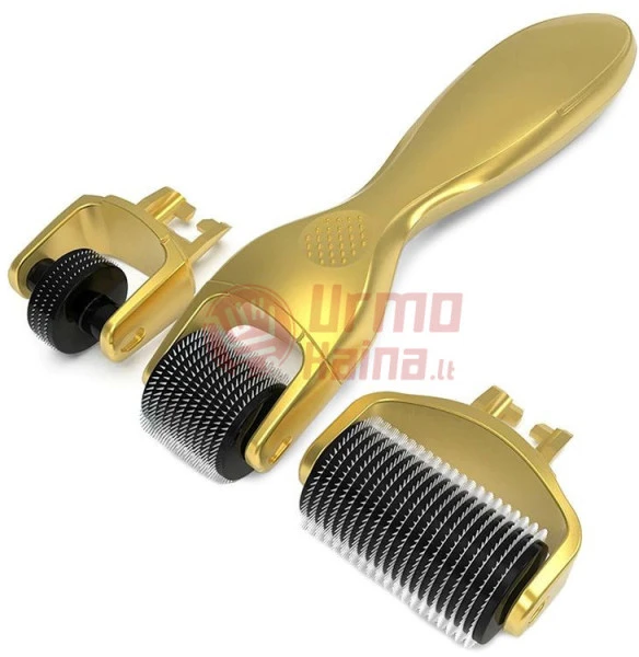 Adatinis volelis mezoterapijai Derma Roller 3in1 DR01